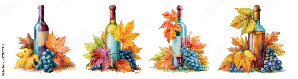 Obraz premium Wine bottles with purple grapes and colorful autumn leaves, watercolor style illustration depicting harvest season, viniculture, and fall traditions against a white background