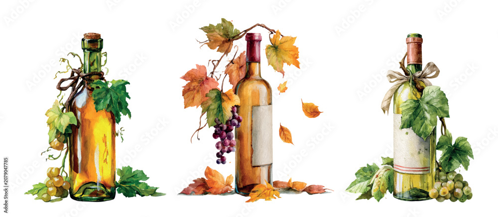 Obraz premium Wine bottles celebrating autumn harvest, featuring grapevines, green and red grapes, vibrant fall leaves, and cork stoppers in a rustic watercolor illustration of viticulture