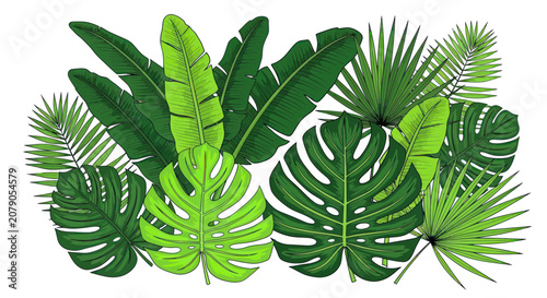 Foto Green tropical monstera banana and palm leaves arrangement
