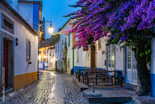 Fényképezés Views around the walled town of obidos Portugal