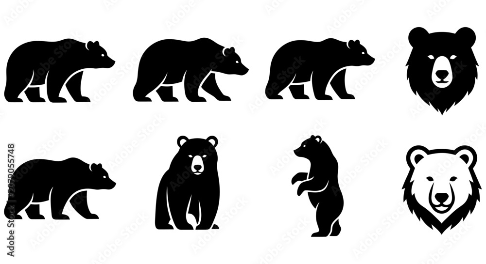 Fototapeta premium Black Silhouette Bear Shapes Collection Various Poses And Head Portraits