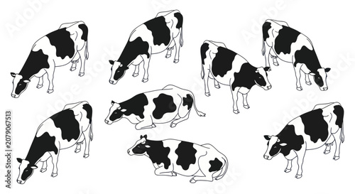 Cuadro en lienzo Collection of holstein dairy cows in various poses