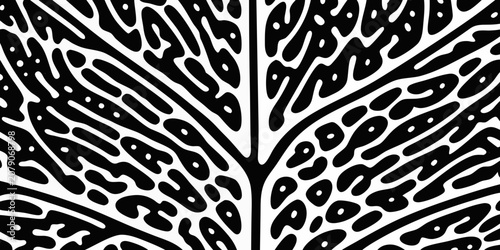 Fotografie Organic black and white texture branching vein pattern on white background