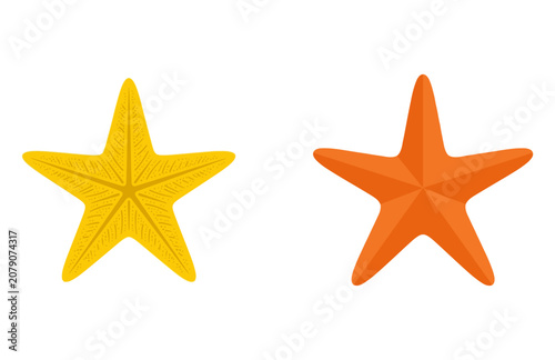 Photography Set of Colorful Sea Star Icons Featuring Detailed Yellow and Orange Marine Anima