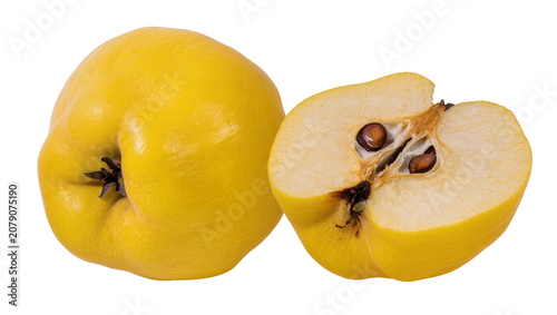 Obraz na plátně Isolated fresh ripe yellow quince fruit, one whole and one cut in half revealing