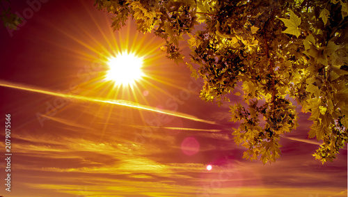 Quadro su tela Sol en explosión dorada atraviesa nubes y estelas; ramas iluminadas enmarcan un amanecer que mezcla calma y energía, cielo en llamas