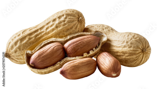 Obraz na płótnie Isolated delicious natural peanuts, some whole in shell and one cracked with raw