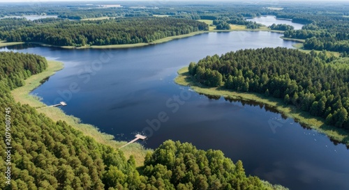 Aerial view of a winding lake surrounded by dense green forests