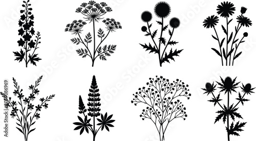 set of silhouettes of trees