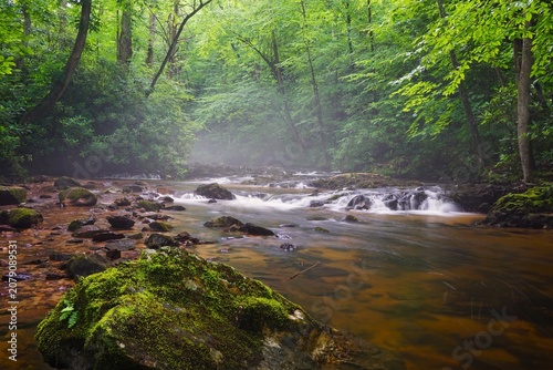 Quadro su tela Scenery at Dennis Cove Campground in the Cherokee National Forest Tennessee near