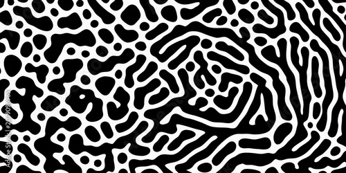 Fotografie Organic black and white pattern with irregular flowing shapes