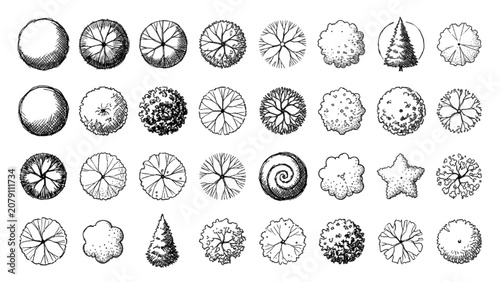 Hand Drawn Architectural Tree Symbols Vector Collection for Landscape Architecture Plans