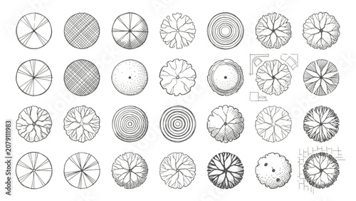 Hand Drawn Plaza Tree Symbols and Plan View Canopy Vector Set for Site Design