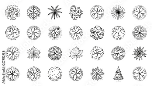 Hand Drawn Architectural Tree Symbols Vector Set for Landscape Architecture Plans