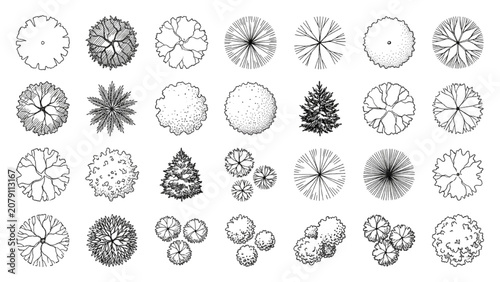 Hand Drawn Eco Park Tree Symbols Vector Set for Landscape Architecture Plans