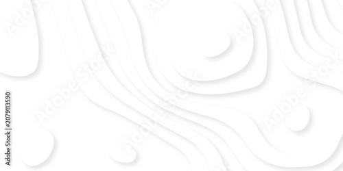 Obraz na plátně abstract luxury web spiral line withe background