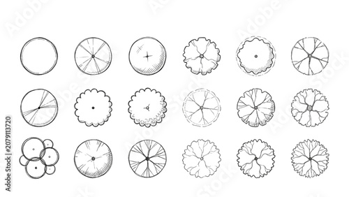 Hand Drawn Top View Architectural Tree Symbols Vector Asset Sheet for Landscape Plans