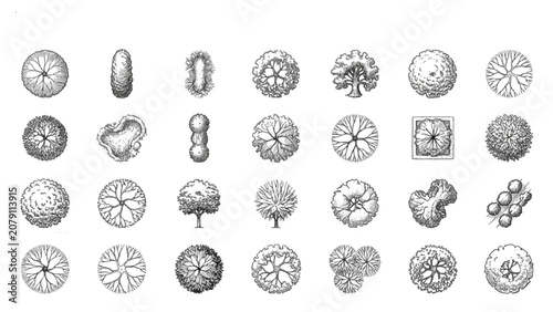Hand Drawn Top View Tree Assets Vector Collection for Green Infrastructure Planning