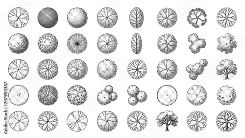 Hand Drawn Top View Tree Symbol Library Vector Set for Landscape Architecture Plans