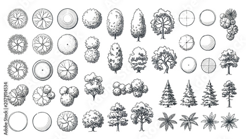 Hand Drawn Tree and Plant Symbol Library Vector Set for Landscape Architecture Design