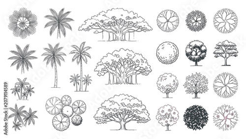 Hand Drawn Tropical and Deciduous Tree Symbols Vector Set for Landscape Architecture