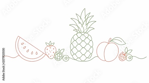 Fresh healthy fruits and berries line art vector illustration on white background. Minimalist graphic for diet and lifestyle concepts.