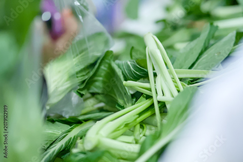 Φωτογραφία Fresh green bok choy vegetables being packed into plastic bags by a worker in a