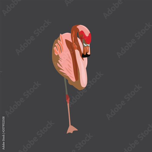 Cute pink bird