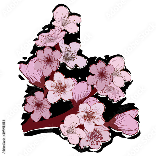 Elegant pink cherry blossom branch illustration