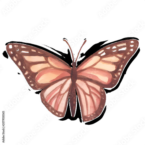 Watercolor style monarch butterfly illustration