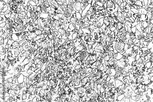 Fényképezés High detail abstract black and white mosaic line texture with intricate geometri