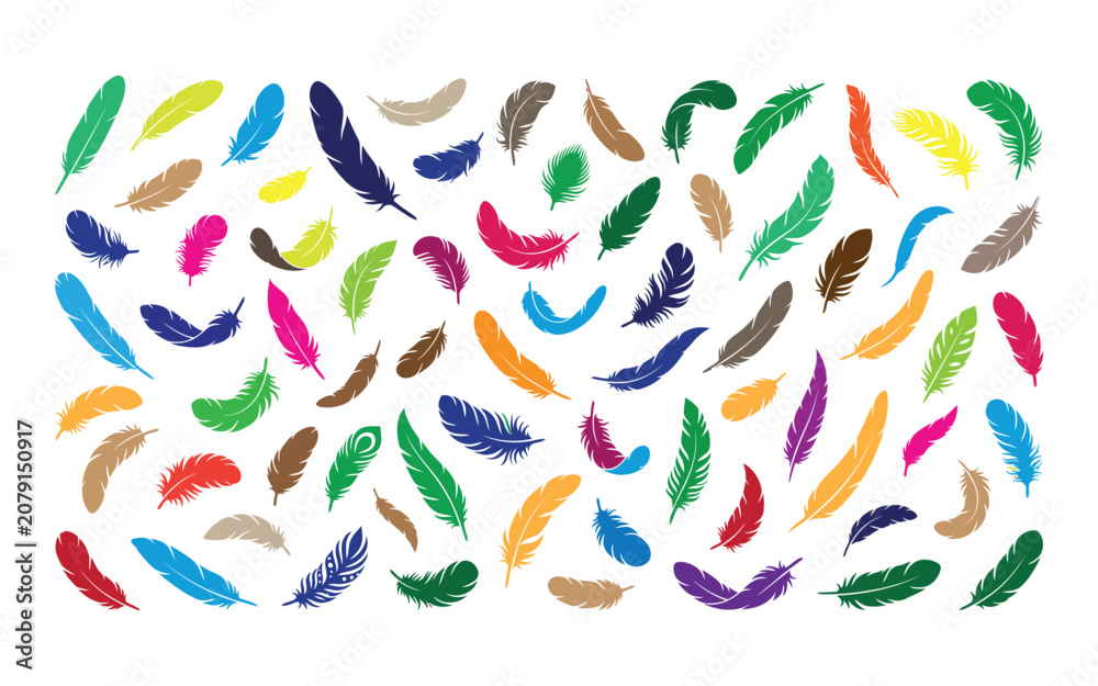 Fototapeta premium Colorful falling feathers collection on white background silhouette