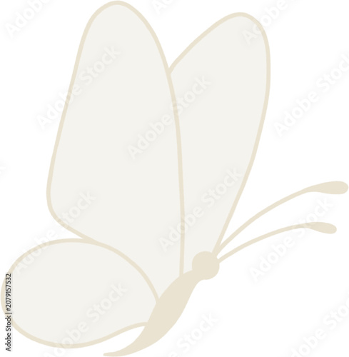butterfly on white background