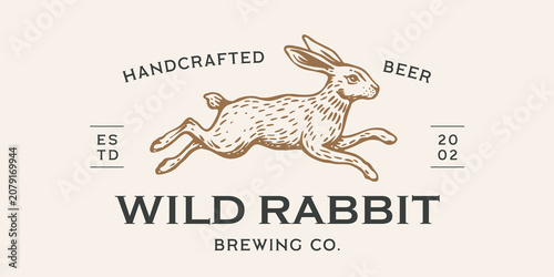 Hare, rabbit sketch. Vintage rabbit beer brewery sign, retro hand drawn animal badge, engraved hipster rabbit beer brewery emblem, craft rabbit beer brewery label. Vector Illustration