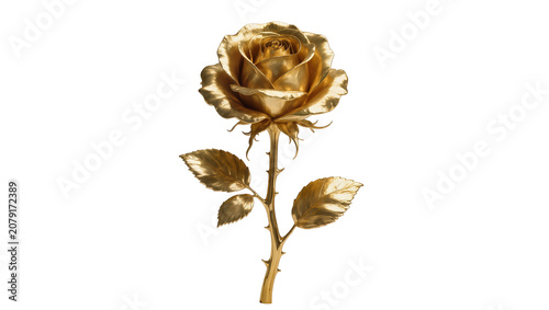 Tableau sur toile Isolated elegant golden rose with shiny metallic petals, stem, leaves, and sharp