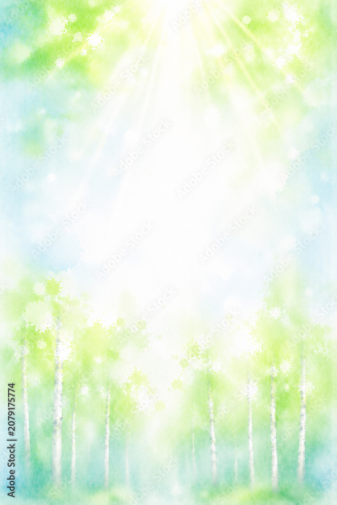 Fototapeta premium 新緑の白樺林をイメージした抽象水彩背景 木漏れ日と爽やかな空気感が広がる余白デザイン