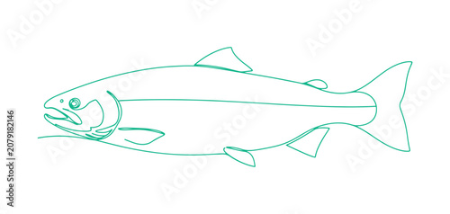 Minimal salmon outline illustration perfect for seafood and culinary themes.