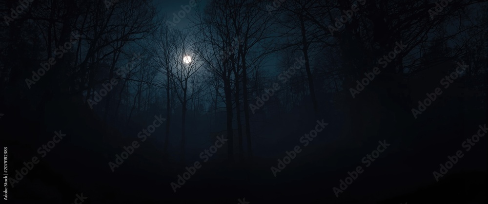 Fototapeta premium Full moon shining through dark, foggy forest at night