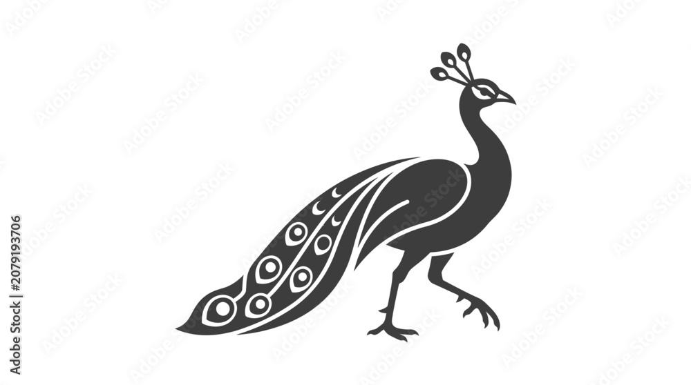 Fototapeta premium Black and white peacock illustration walking.