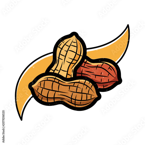 Pair of Roasted Peanuts in Shell Illustration