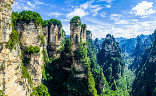 Картината върху платно Impressive vertical quartz sandstone pillars with vegetation in Zhangjiajie Nati