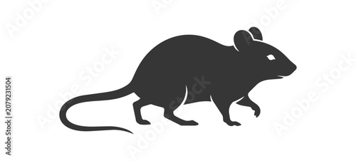 Silhouette of a Mouse Walking with a Long Tail.
