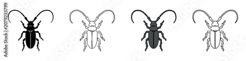 Quadro su tela Set of four stylized longhorn beetle icons in black and white line art styles
