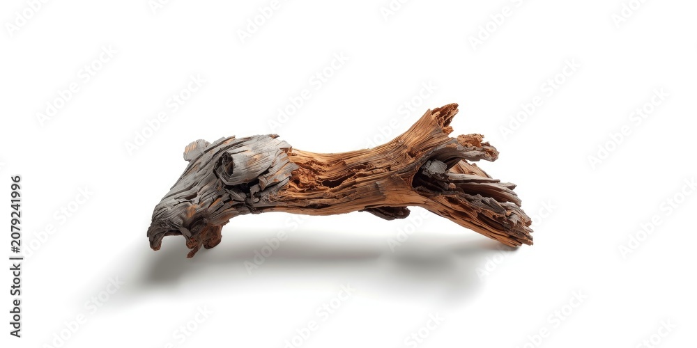 Obraz premium Driftwood piece with unique texture and shape on white background