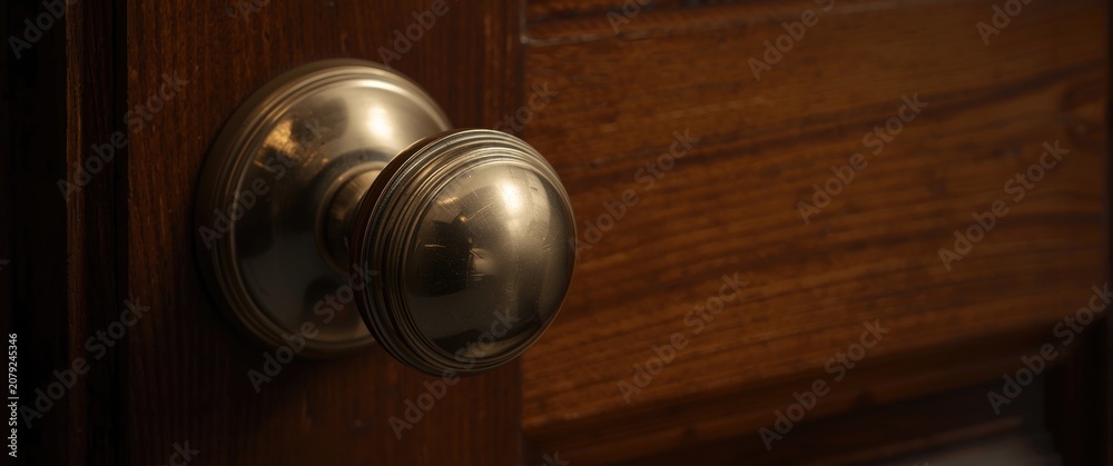 Fototapeta premium Brass doorknob on a wooden door panel