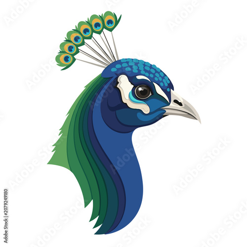 Gradient blue and green peacock head logo with flowing crest