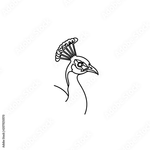 Minimalist continuous line drawing of a peacock head profile