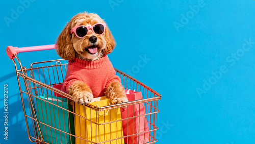Happy dog riding in shopping cart with colorful shopping bags, surreal retail shopping concept
