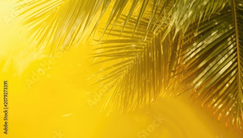 Yellow toned background with lush tropical palm fronds evoking summer mood