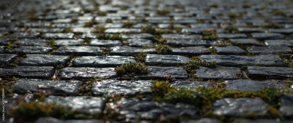 Fototapeta premium Intimate shots of cobblestone surface details with small patches of vegetation in street setting